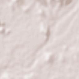 Acaponeta Terrain Map