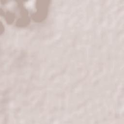 Piedra Gorda Terrain Map