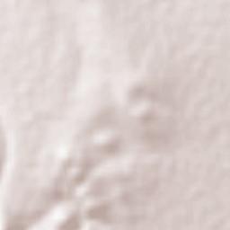 Pastoría Terrain Map