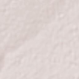 Estancia de Ánimas Terrain Map