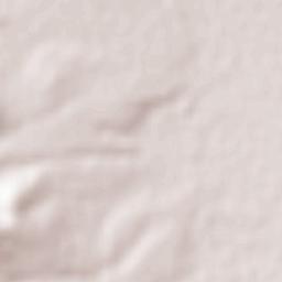 Peotillos Terrain Map