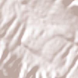 Zamachihue Terrain Map