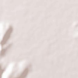 Champaner Terrain Map