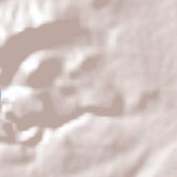 San Pedro Piedra Gorda Terrain Map