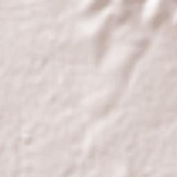 Luis Moya Terrain Map