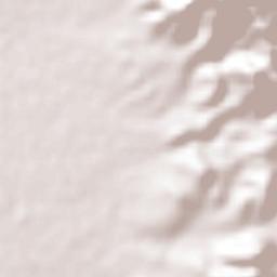 La Ballena Terrain Map