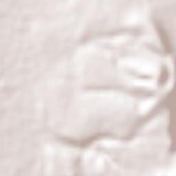 Santiago Terrain Map