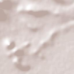 Villa Hidalgo Terrain Map