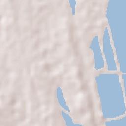 Ricardo Flores Magón Terrain Map