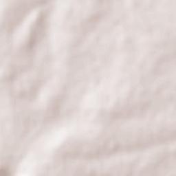 Santa Ana Terrain Map