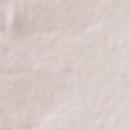 Corcovado Terrain Map