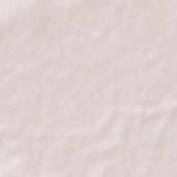 Nuevo Tantoán Terrain Map