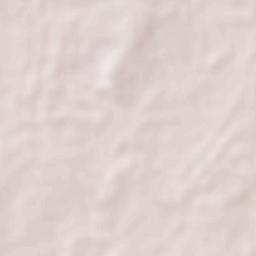 San Antonio Rayón Terrain Map