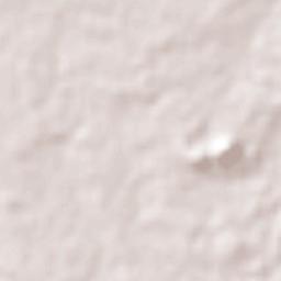 Municipio de Santa Clara Terrain Map