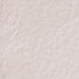 General Lauro G. Caloca (El Rascón) Terrain Map