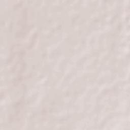 Colonia José María Morelos Terrain Map