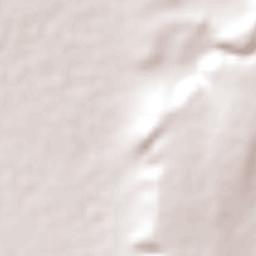 Villa Hidalgo Terrain Map