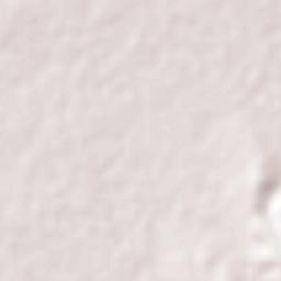 Palmar Primero Terrain Map