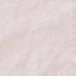 Guayalejo Terrain Map