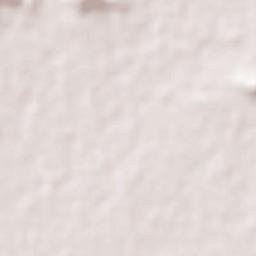 Bilaspur Terrain Map