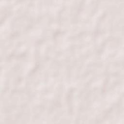 Bishnupur Terrain Map