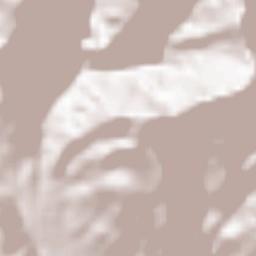 Huyện Tam Đường Terrain Map