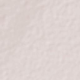 Rancho Nuevo de Morelos (De Guadalupe) Terrain Map