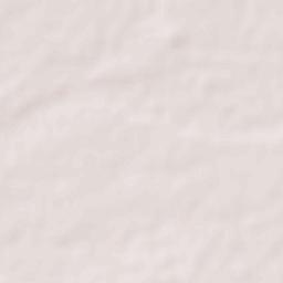 Pavi Jetpur Terrain Map