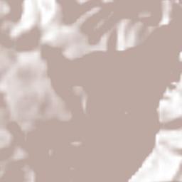 Pochotita Terrain Map