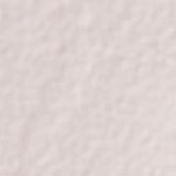 El Chayote Terrain Map