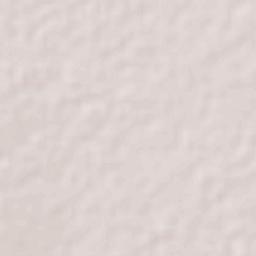 Ejido Hidalgo Terrain Map