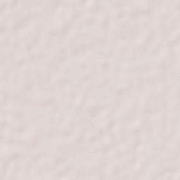 Colonia San Francisco (San Francisco) Terrain Map