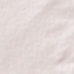 Estancia de Guadalupe Terrain Map