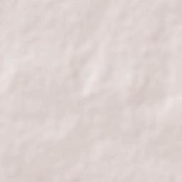 Aurelio Manrique Terrain Map