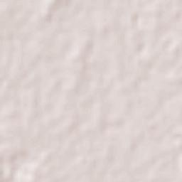 Ciudad Madero Terrain Map