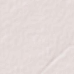 Vaghodia Terrain Map