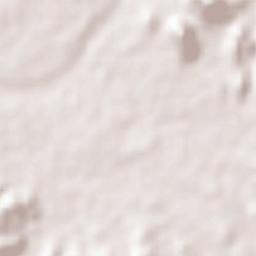 Chhota Udepur Terrain Map