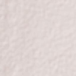 San Antonio Terrain Map