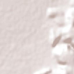 Crisóstomos Terrain Map