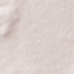 La Victoria Terrain Map