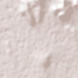 Progreso Terrain Map