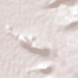 Colonia Álvaro Obregón Terrain Map