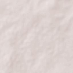 Ponciano Arriaga Terrain Map