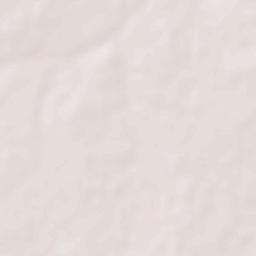 Paliyad (Bhavnagar) Terrain Map