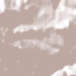 Mesa del Nayar Terrain Map