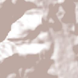 San Andrés Cohamiata Terrain Map