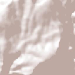 Mezquitic Municipality Terrain Map