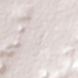 Ciénega Grande Terrain Map