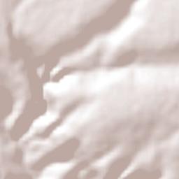 El Cerro Jalisco Terrain Map