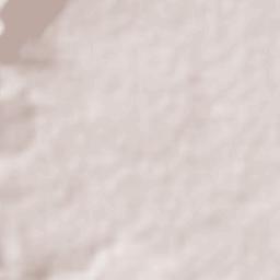 Pabellón de Hidalgo Terrain Map